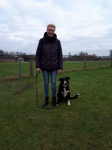 Mariska met Buddy, Border collie, aandacht & fun , omheind veld